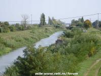 Imagine atasata: pista pentru biciclete pe malurile Begai 059.jpg